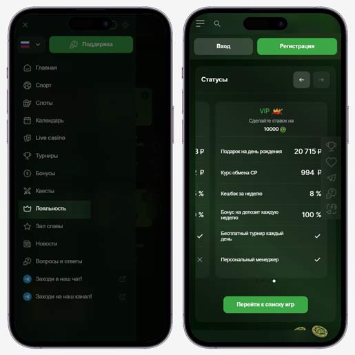 Программа лояльности